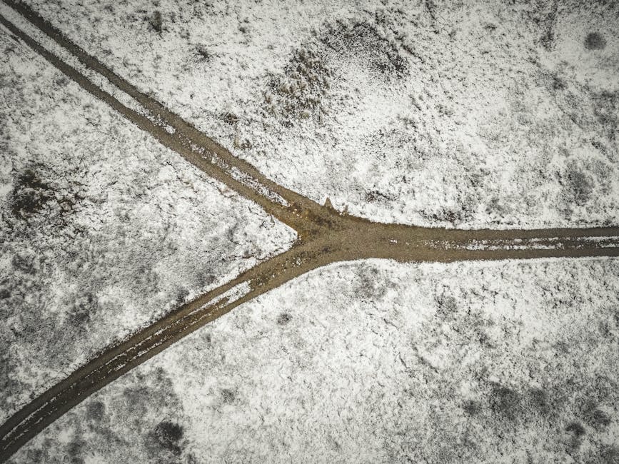If At First You Don't Succeed, Go Somewhere Else — Ida Rolf on Whole-Body Thinking - Boston Rolf
