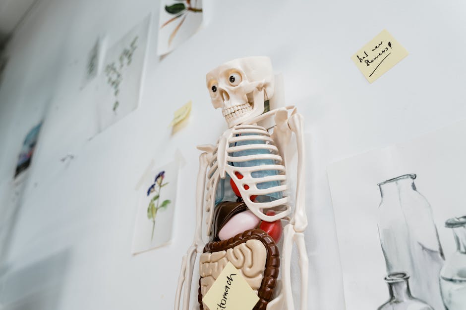 Ida Rolf - Why the Rolf Method works - Rolfing Boston